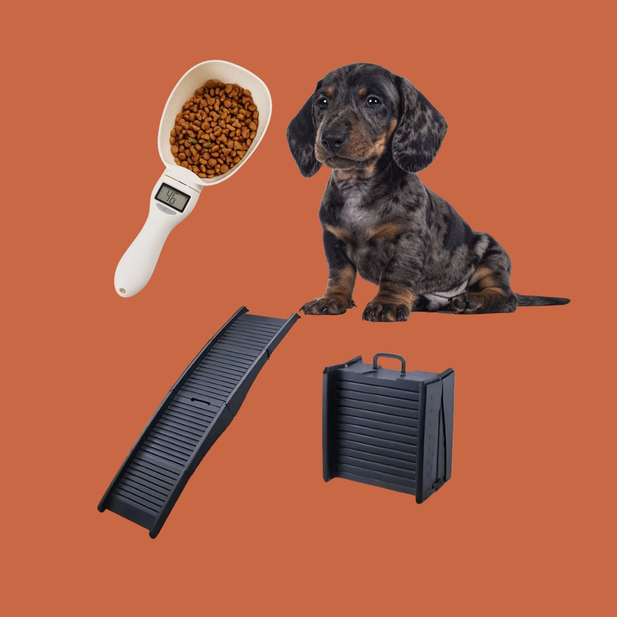Doxie Demands