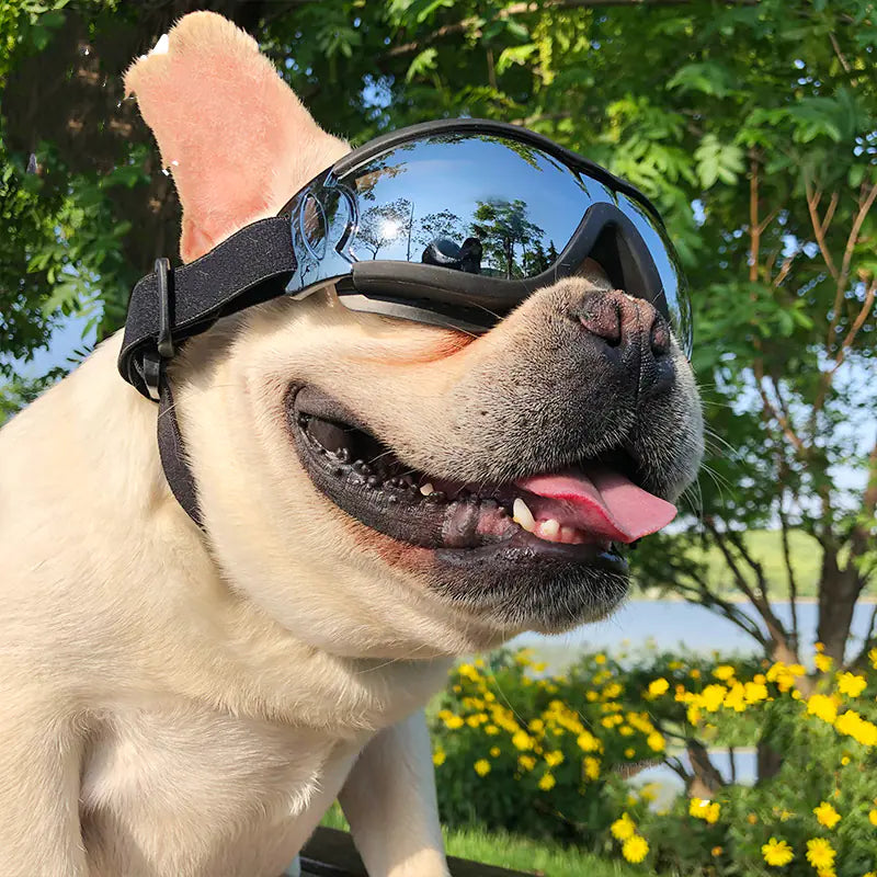 Windproof Adjustable Pet Goggles