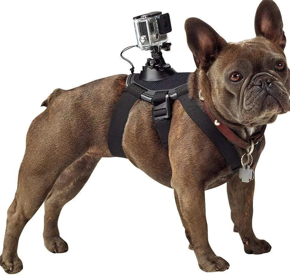 GoPro Mount Dog Harness